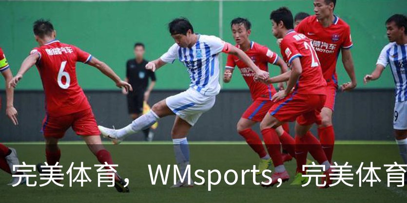完美体育，WMsports，完美体育官方，完美体育平台，完美体育下载介绍
